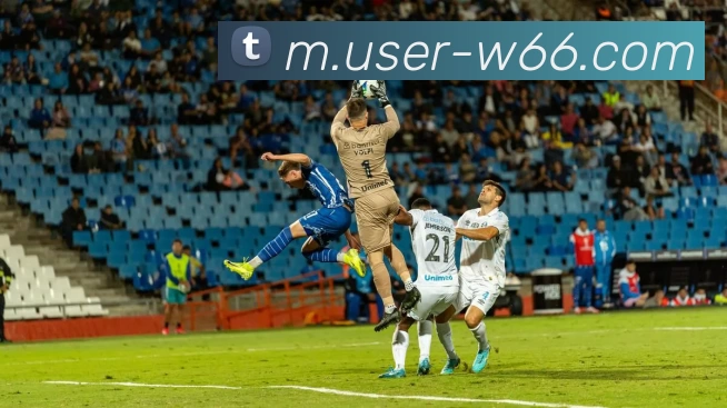 利来国际发展历程